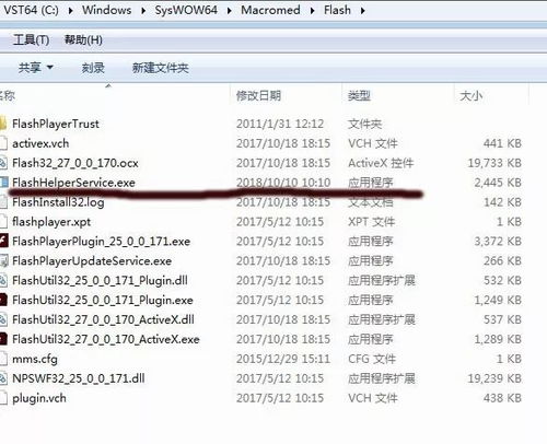 揭秘正版軟件的流氓面紗 如何識別并清除你電腦中的潛在威脅
